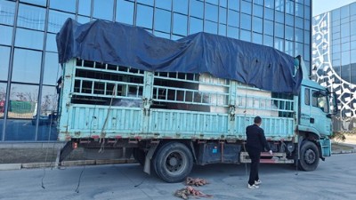 自動（dòng）噴膠機再添新交付（fù），助力（lì）大連汽車橡膠減震客戶升級